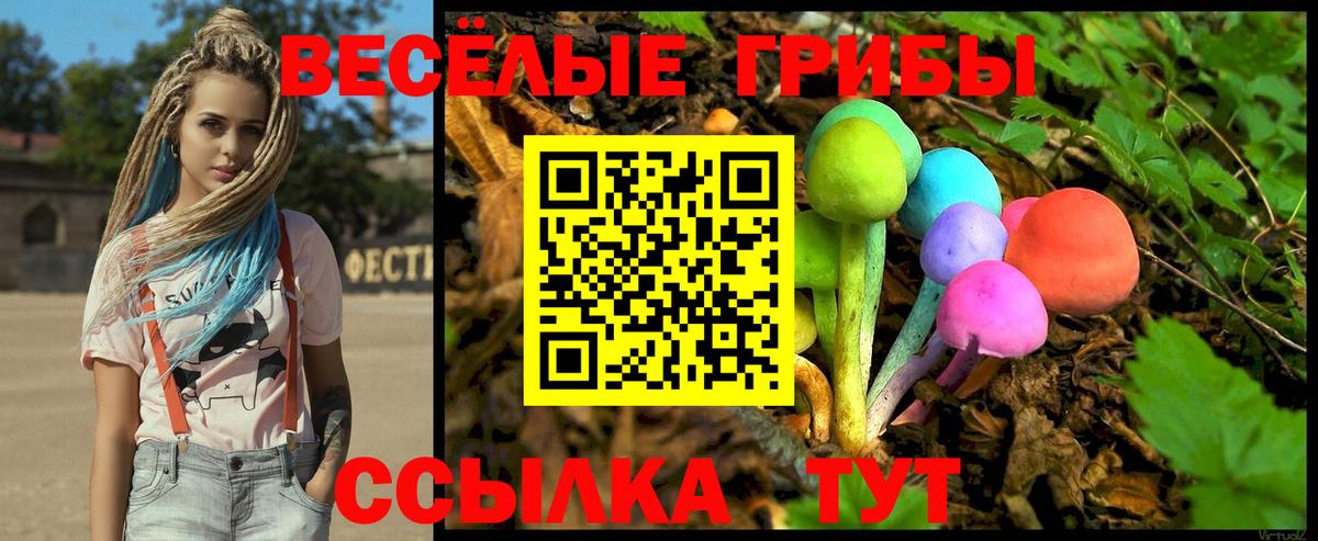 Псилоцибиновые грибы Magic Shrooms  Вход с VPN  купить наркоту  Новороссийск 